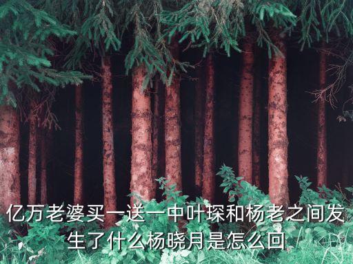 億萬(wàn)老婆買一送一中葉琛和楊老之間發(fā)生了什么楊曉月是怎么回