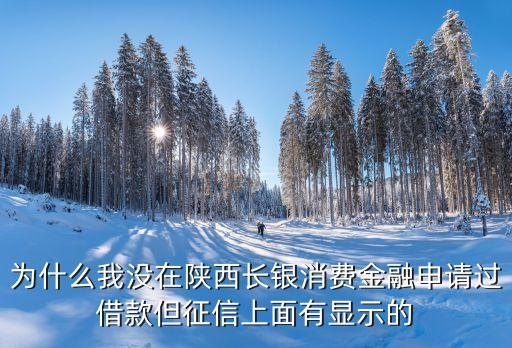 長(zhǎng)銀消費(fèi)金融，為什么我沒在陜西長(zhǎng)銀消費(fèi)金融申請(qǐng)過借款但征信上面有顯示的