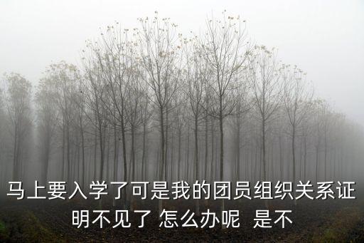 馬上要入學(xué)了可是我的團(tuán)員組織關(guān)系證明不見(jiàn)了 怎么辦呢  是不