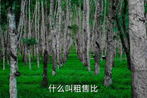 房屋租售比，房子租售比是什么