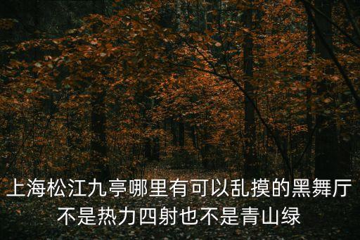 上海松江九亭哪里有可以亂摸的黑舞廳不是熱力四射也不是青山綠