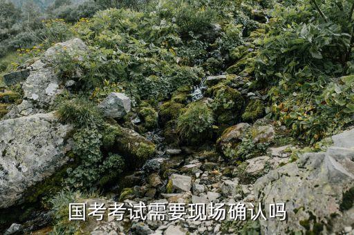 國(guó)考確認(rèn)，國(guó)考考試需要現(xiàn)場(chǎng)確認(rèn)嗎