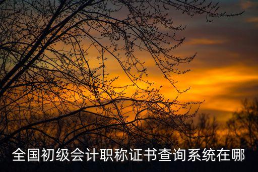 會計初級證書查詢，請問一下考過初級證書在哪里查詢