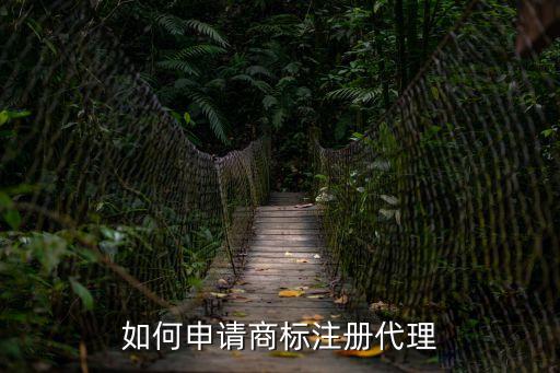 如何申請商標(biāo)注冊代理