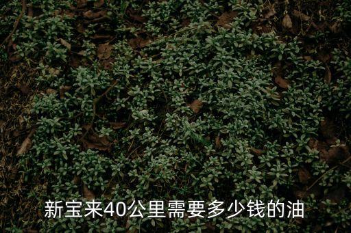 新寶來(lái)40公里需要多少錢的油