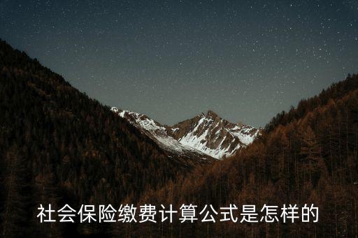 社會(huì)保險(xiǎn)繳費(fèi)計(jì)算公式是怎樣的