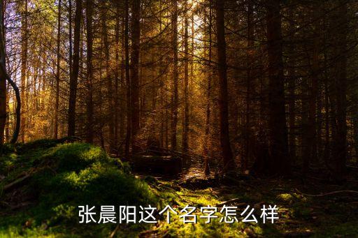 張晨陽這個(gè)名字怎么樣
