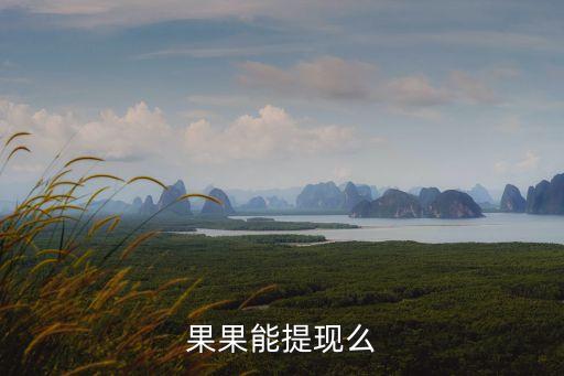 菜鳥果果，果果能提現(xiàn)么