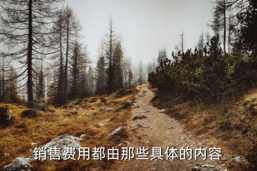 銷(xiāo)售費(fèi)用都由那些具體的內(nèi)容