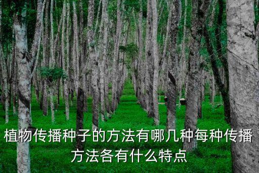植物傳播種子的方法有哪幾種每種傳播方法各有什么特點(diǎn)