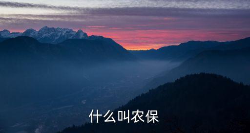 農(nóng)保是什么保險(xiǎn)，農(nóng)村保險(xiǎn)屬于什么保險(xiǎn)