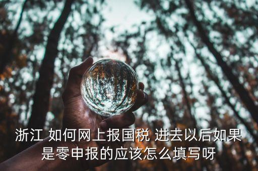 浙江省國稅，浙江省國稅申報打不開怎么辦
