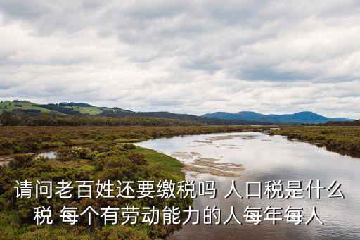 人口稅，個(gè)人人口稅