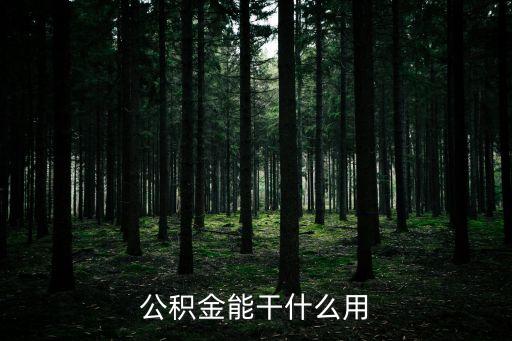 公積金能干什么用