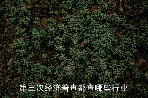 第三次經(jīng)濟(jì)普查都查哪些行業(yè)