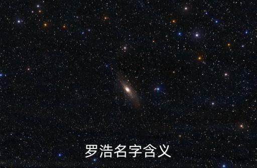 羅浩名字含義