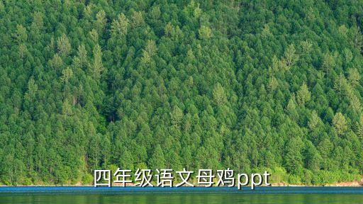 四年級語文母雞ppt