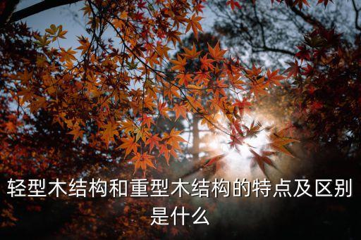 輕型木結(jié)構(gòu)和重型木結(jié)構(gòu)的特點(diǎn)及區(qū)別是什么