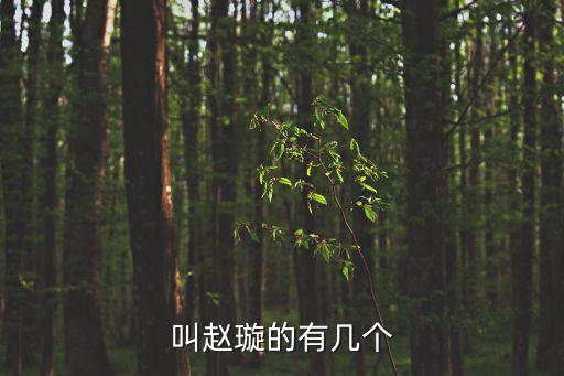 叫趙璇的有幾個(gè)