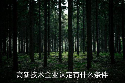 高新技術(shù)企業(yè)認(rèn)定有什么條件