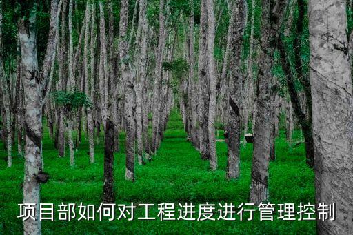 施工進度管理，項目部如何對工程進度進行管理控制