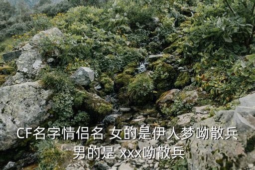 美女XX視頻，CF名字情侶名 女的是伊人夢呦散兵 男的是 xxx呦散兵