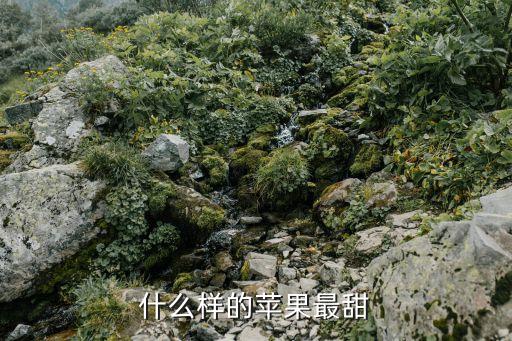 印度青，那種青蘋果是印度蘋果嗎不是的吧我們中國本土也有的吧