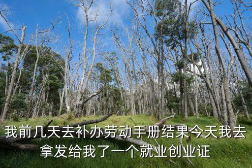 我前幾天去補辦勞動手冊結果今天我去拿發(fā)給我了一個就業(yè)創(chuàng)業(yè)證