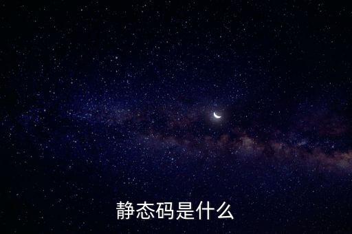 靜態(tài)碼是什么
