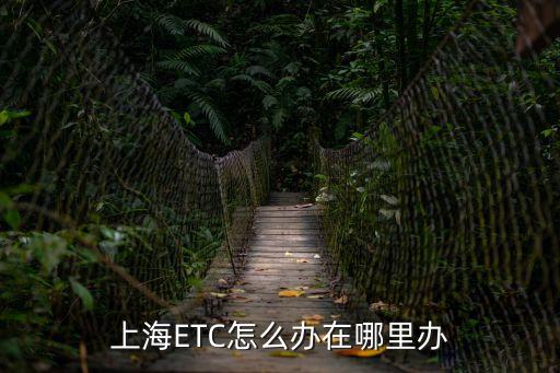 上海etc官網(wǎng)，上海etc辦理