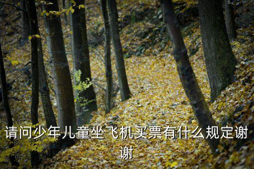 請問少年兒童坐飛機買票有什么規(guī)定謝謝