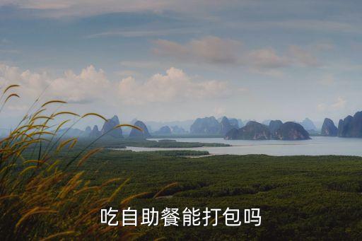 吃自助餐能打包嗎