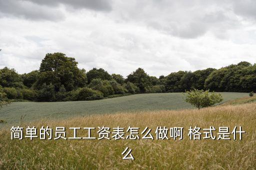 簡單的員工工資表怎么做啊 格式是什么