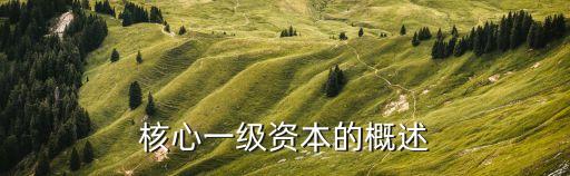 核心一級資本的概述