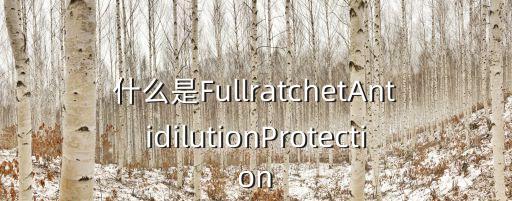 棘輪條款，什么是FullratchetAntidilutionProtection