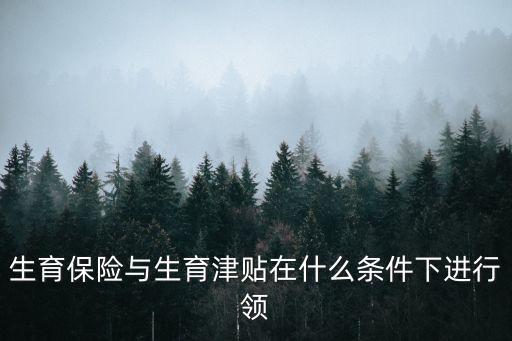 生育保險(xiǎn)與生育津貼在什么條件下進(jìn)行領(lǐng)