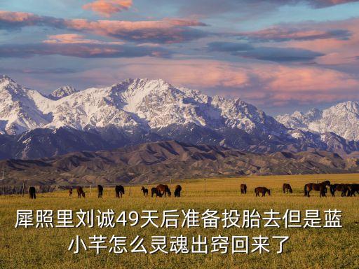 犀照里劉誠(chéng)49天后準(zhǔn)備投胎去但是藍(lán)小芊怎么靈魂出竅回來(lái)了