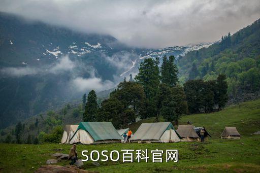 中國拍賣行業(yè)協(xié)會官網(wǎng)，SOSO百科官網(wǎng)