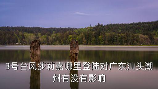 3號(hào)臺(tái)風(fēng)莎莉嘉哪里登陸對(duì)廣東汕頭潮州有沒(méi)有影響