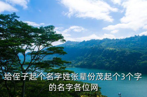 給侄子起個(gè)名字姓張輩份茂起個(gè)3個(gè)字的名字各位網(wǎng)