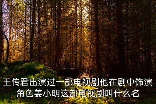 王傳君出演過一部電視劇他在劇中飾演角色姜小明這部電視劇叫什么名