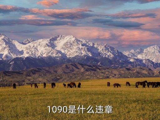 1090，1090是什么違章