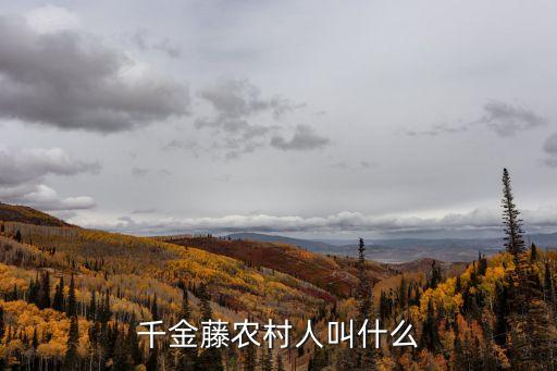 千金藤農(nóng)村人叫什么