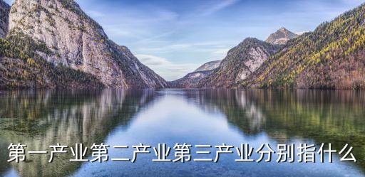 業(yè)產(chǎn)，第一產(chǎn)業(yè)第二產(chǎn)業(yè)第三產(chǎn)業(yè)分別指什么