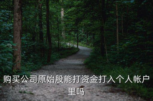 購買公司原始股能打資金打入個人帳戶里嗎