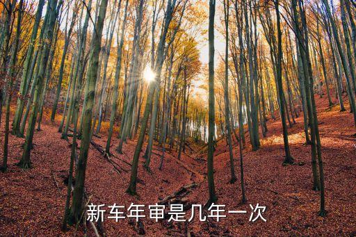 新車(chē)多久年檢一次，新車(chē)年審是幾年一次
