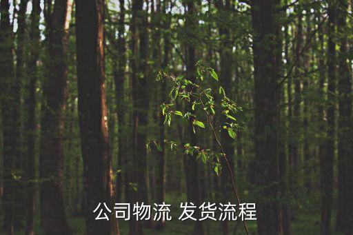 出貨流程，出貨的流程急需求助