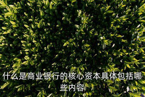 核心資本，核心一級(jí)資本的概述