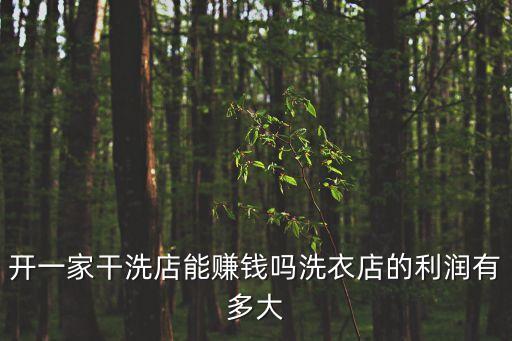 開(kāi)一家干洗店能賺錢嗎洗衣店的利潤(rùn)有多大