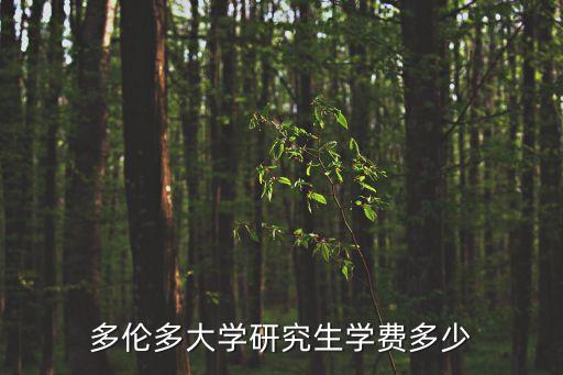 多倫多大學(xué)研究生學(xué)費多少